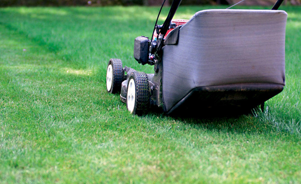 Koszenie trawników – stałe zlecenia
