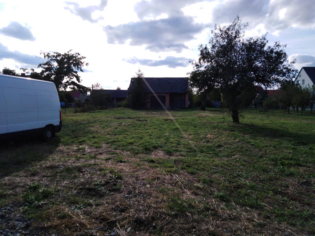 Koszenie zarośli, wycinka drzew