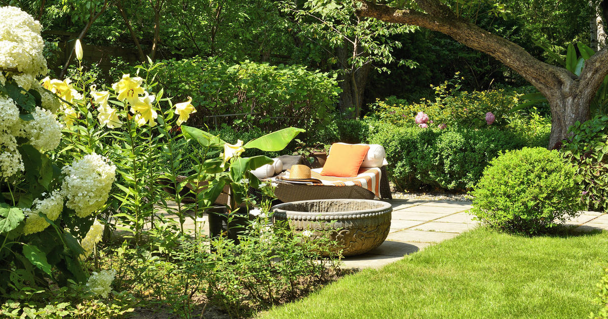 Abonament – stała opieka nad ogrodem