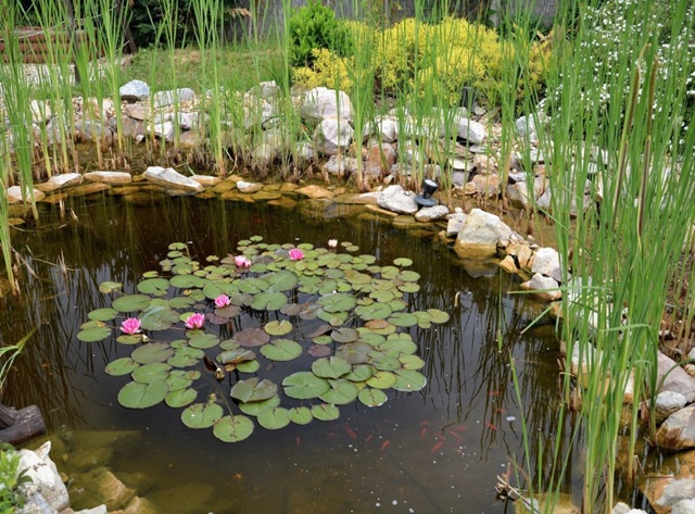 Inspirujące oczka wodne