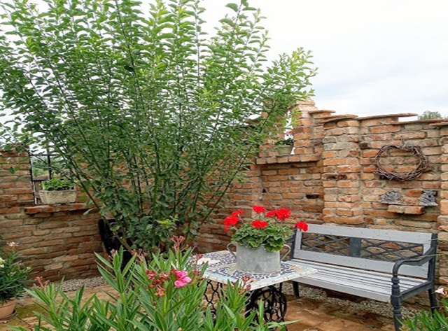 Miejsca które chcemy zasłonić