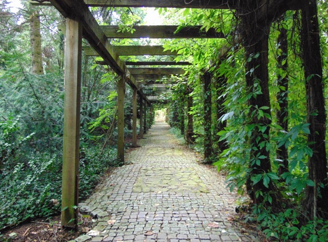 Różnorodny świat roślin w Arboretum Bolestraszyce