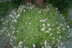 070620162611